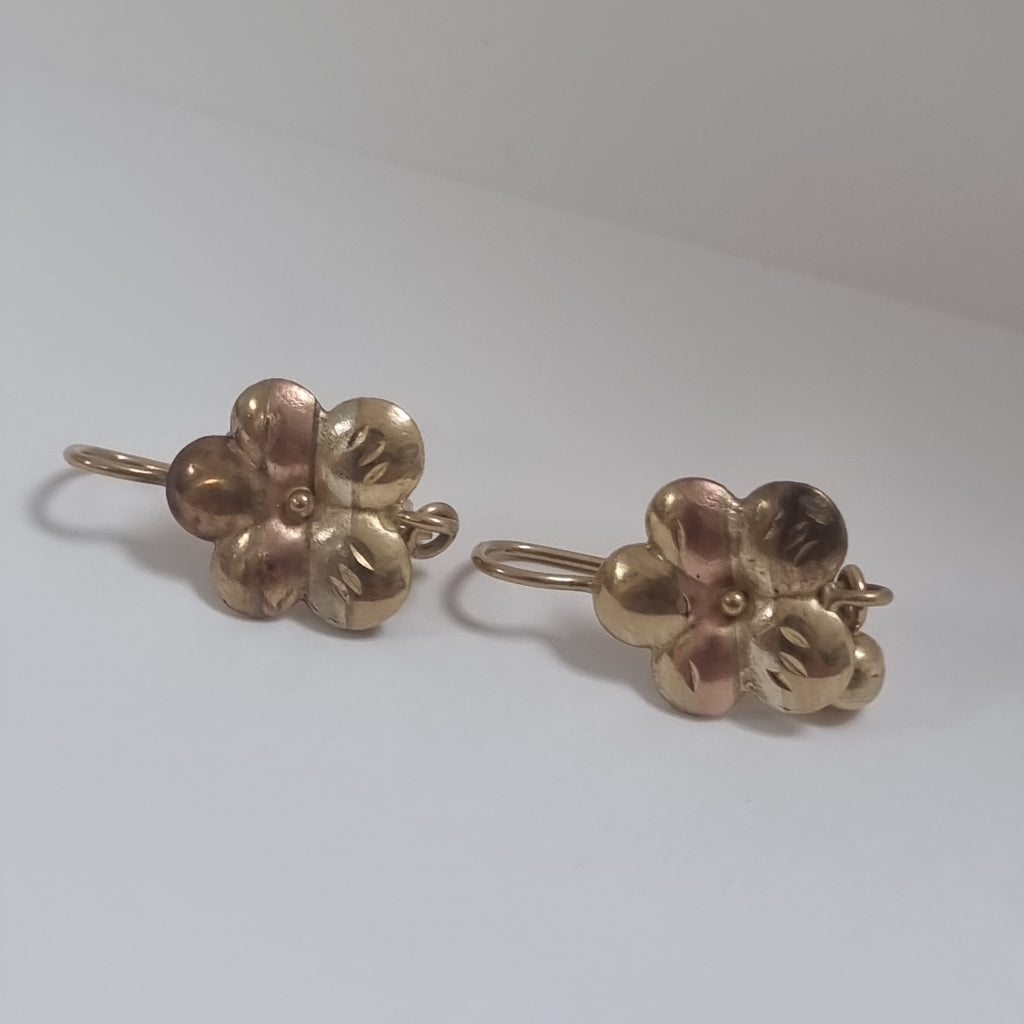 ARETES PAR ORO 10 K 2.5 GRMS (SEMINUEVO)