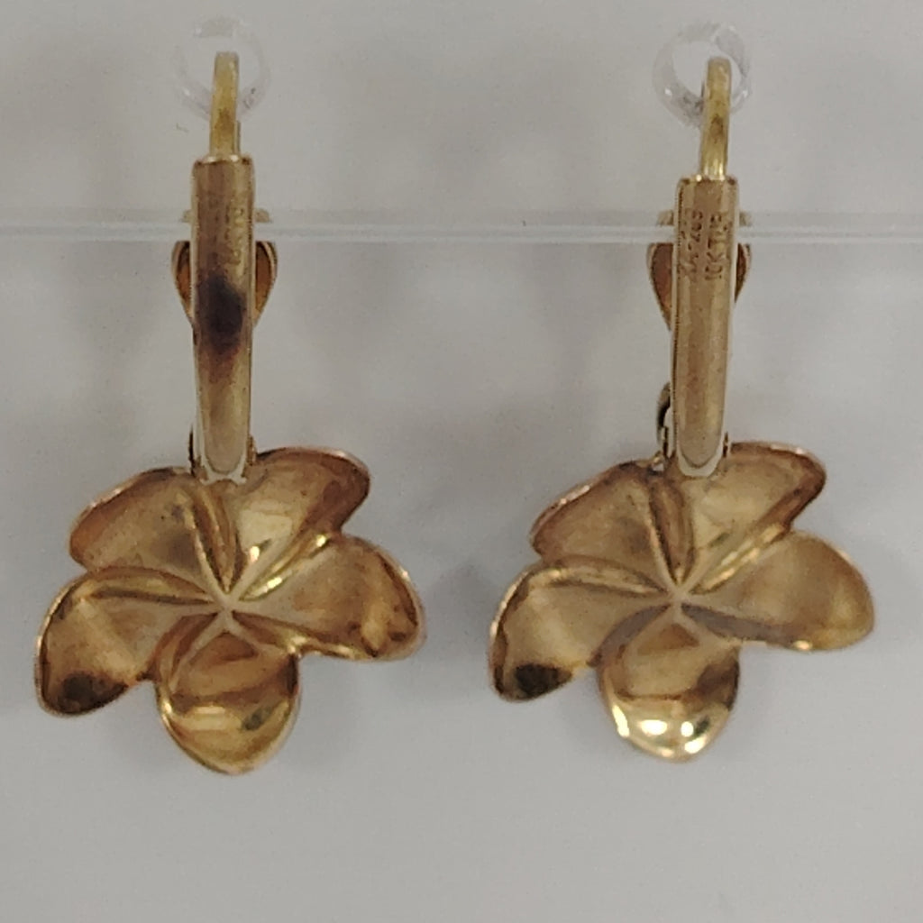 ARETES PAR ORO 10 K 1.6 GRMS (SEMINUEVO)