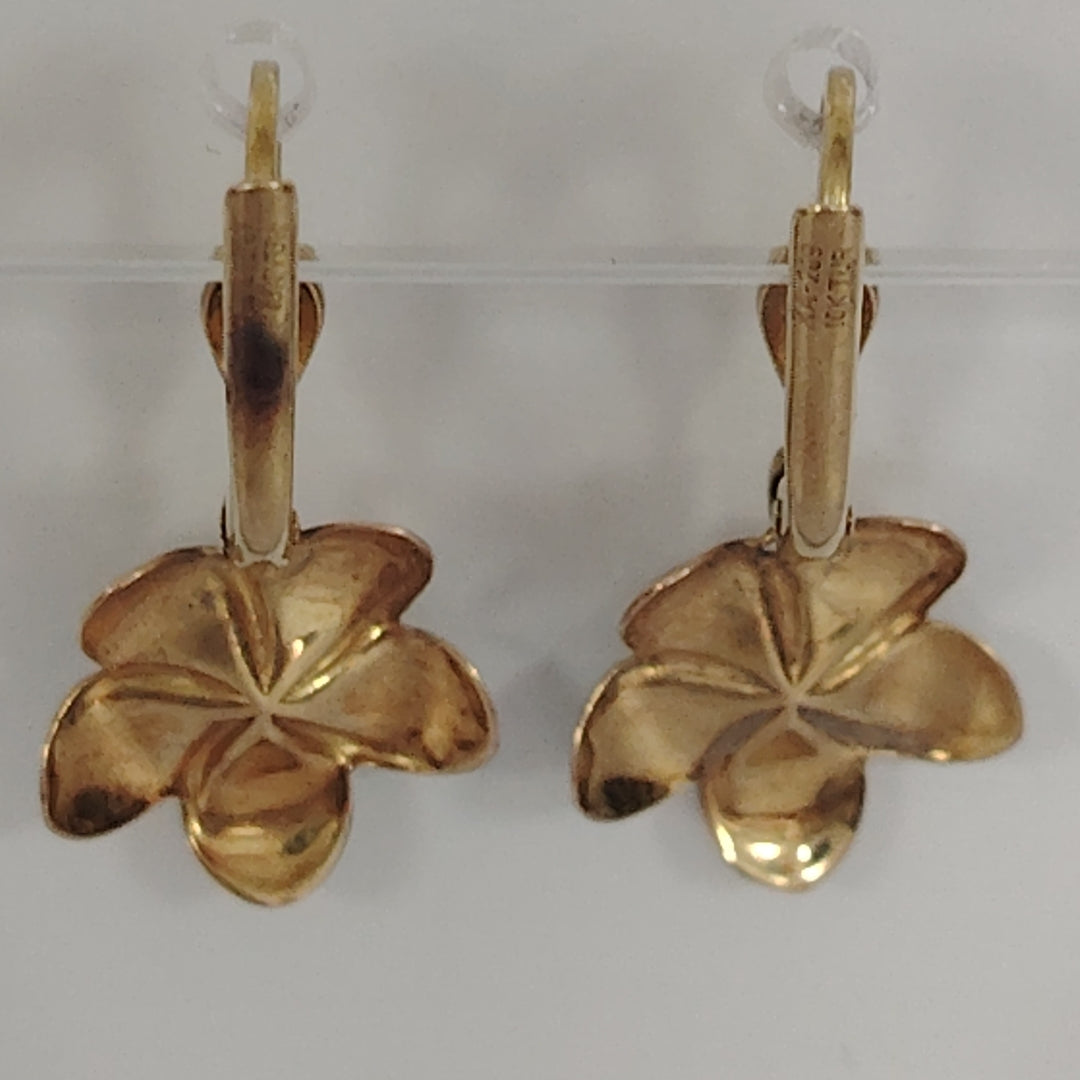 ARETES PAR ORO 10 K 1.6 GRMS (SEMINUEVO)