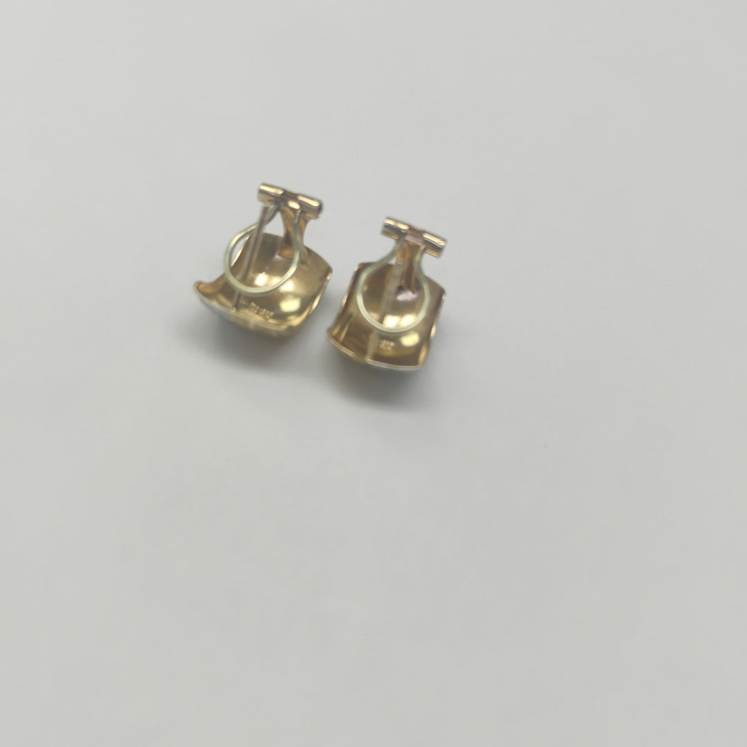 ARETES PAR ORO 10 K 1,90 GRMS (SEMINUEVO)