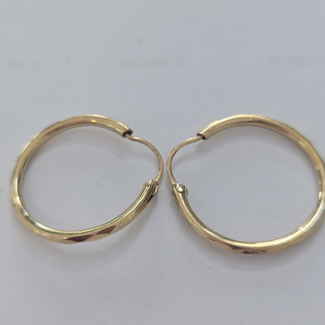 ARRACADAS PAR ORO 10 K 1,20 GRMS (SEMINUEVO)