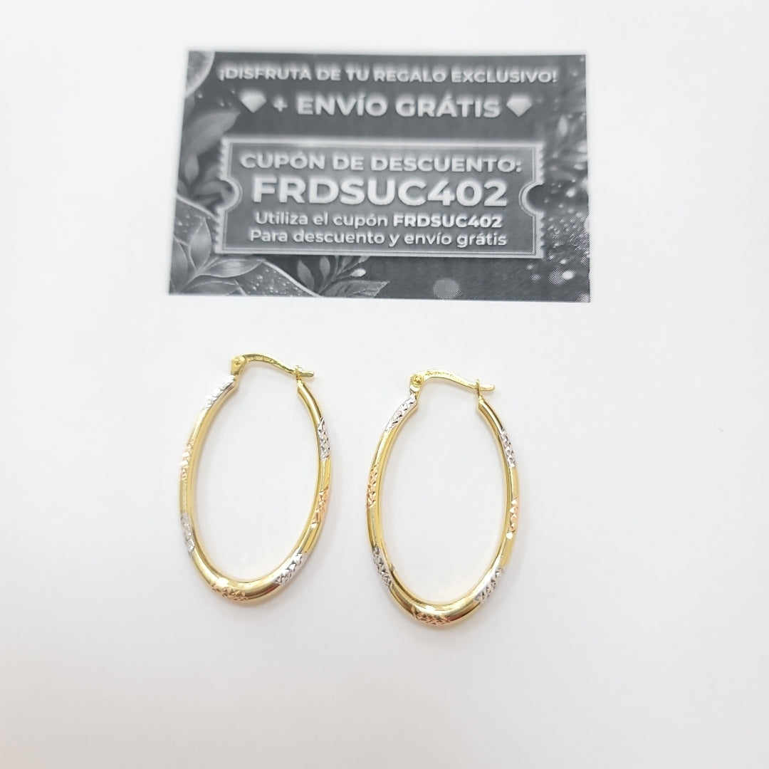 ARRACADAS ORO 10K 2.4 (NUEVO)