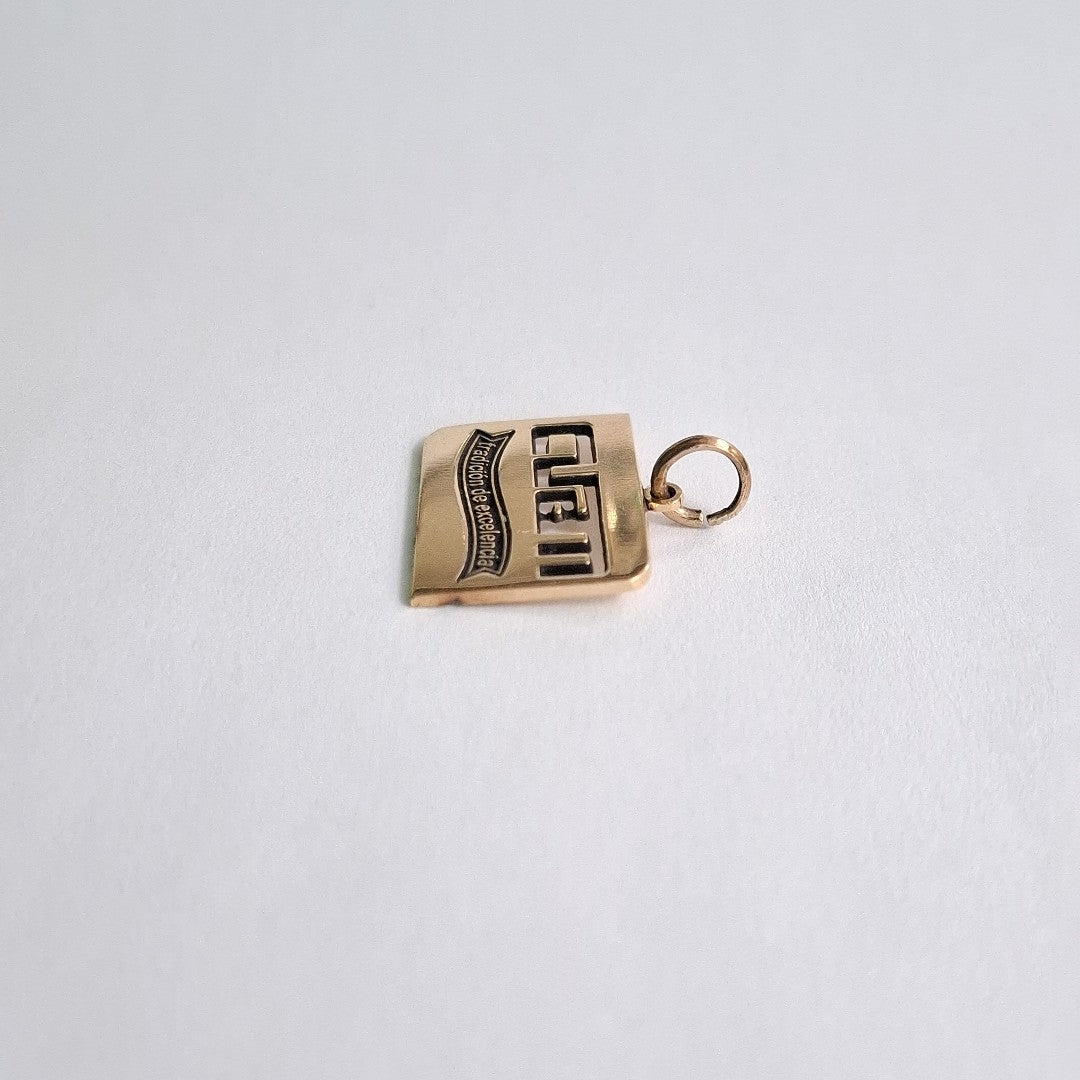 DIJE ORO 14 K 4.7 GRMS (SEMINUEVO)
