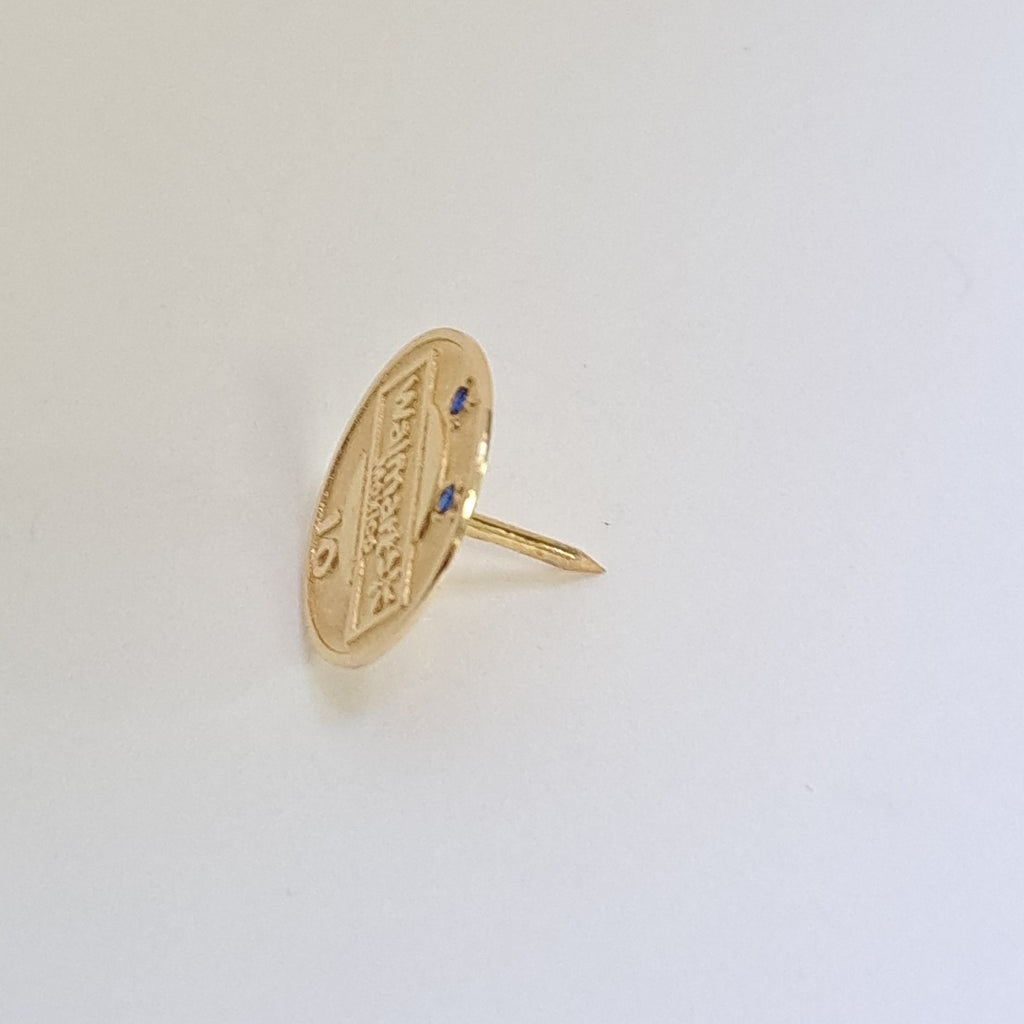 PIN ORO 14 K 1.4 GRMS (SEMINUEVO)