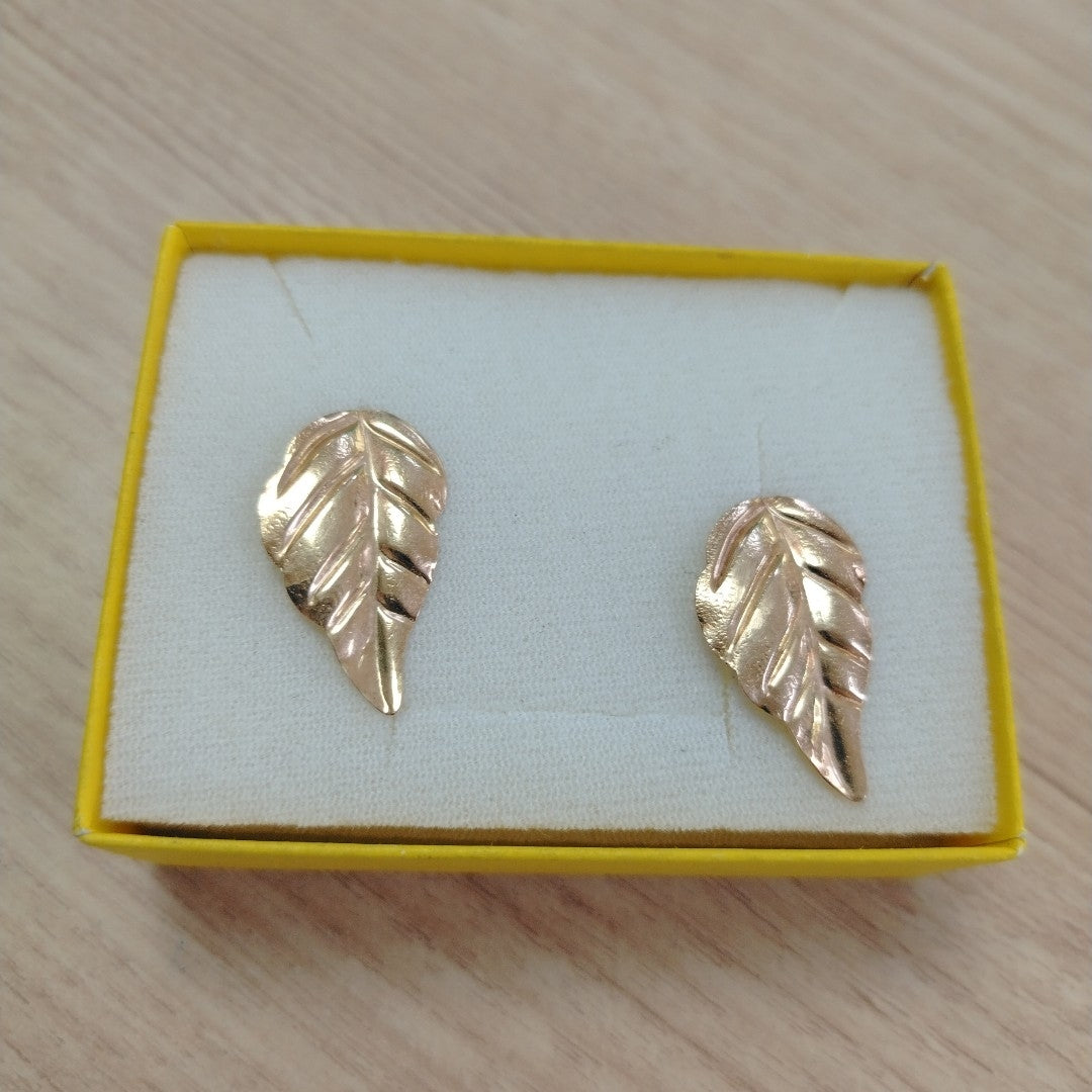 ARETES PAR ORO 10 K 1.3 GRMS (SEMINUEVO)