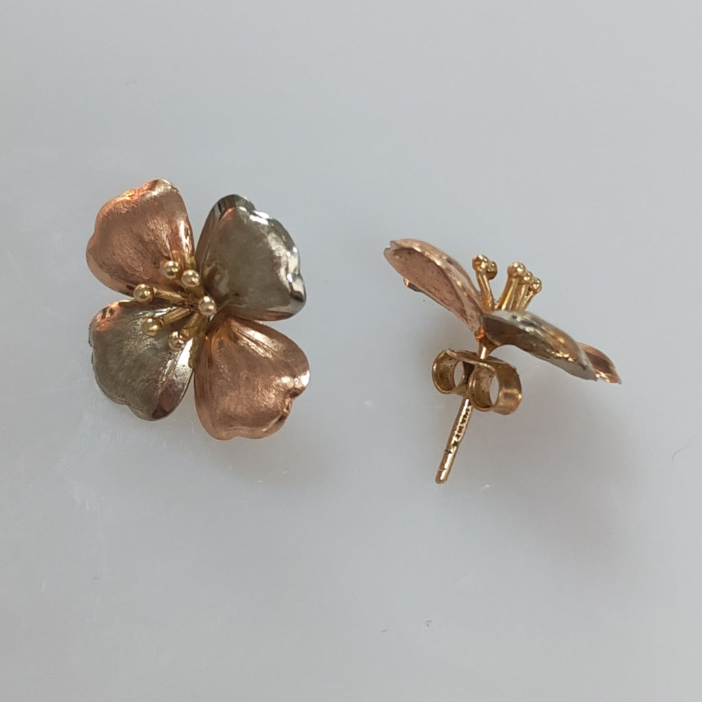 ARETES PAR ORO 10 K 2.9 GRMS (SEMINUEVO)