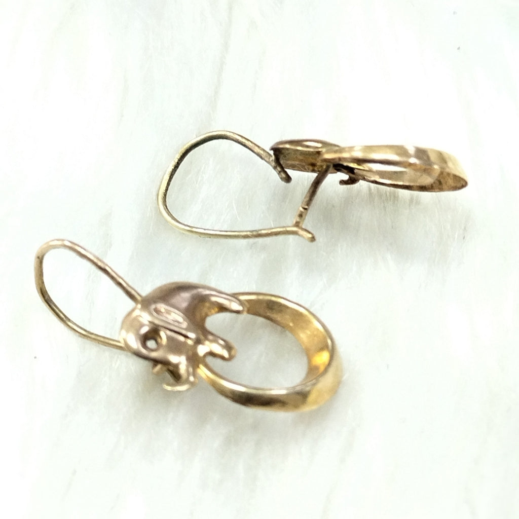 ARETES PAR ORO 10 K 1 GRMS (SEMINUEVO)