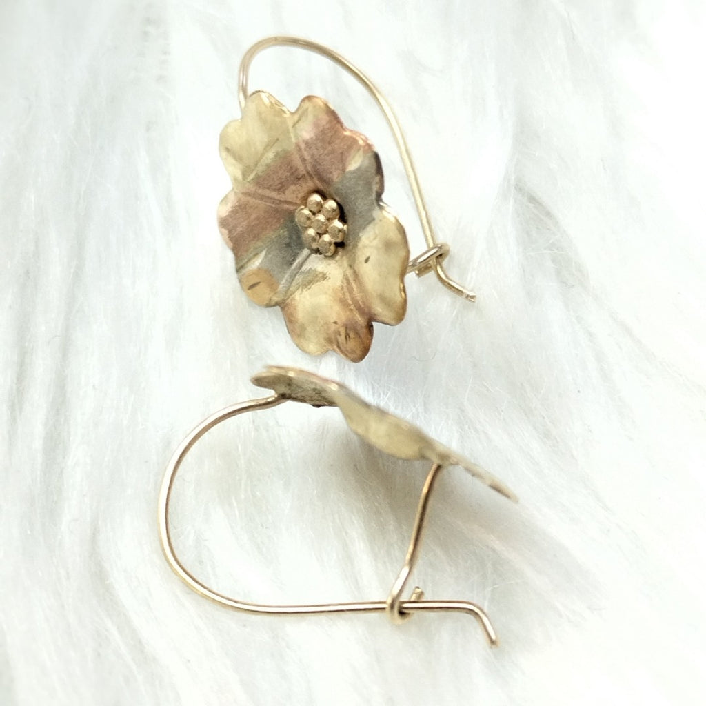 ARETES PAR ORO 10 K 1.1 GRMS (SEMINUEVO)
