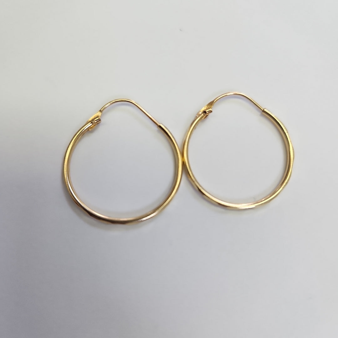 ARRACADAS PAR ORO 10 K 0.8 GRMS (SEMINUEVO)