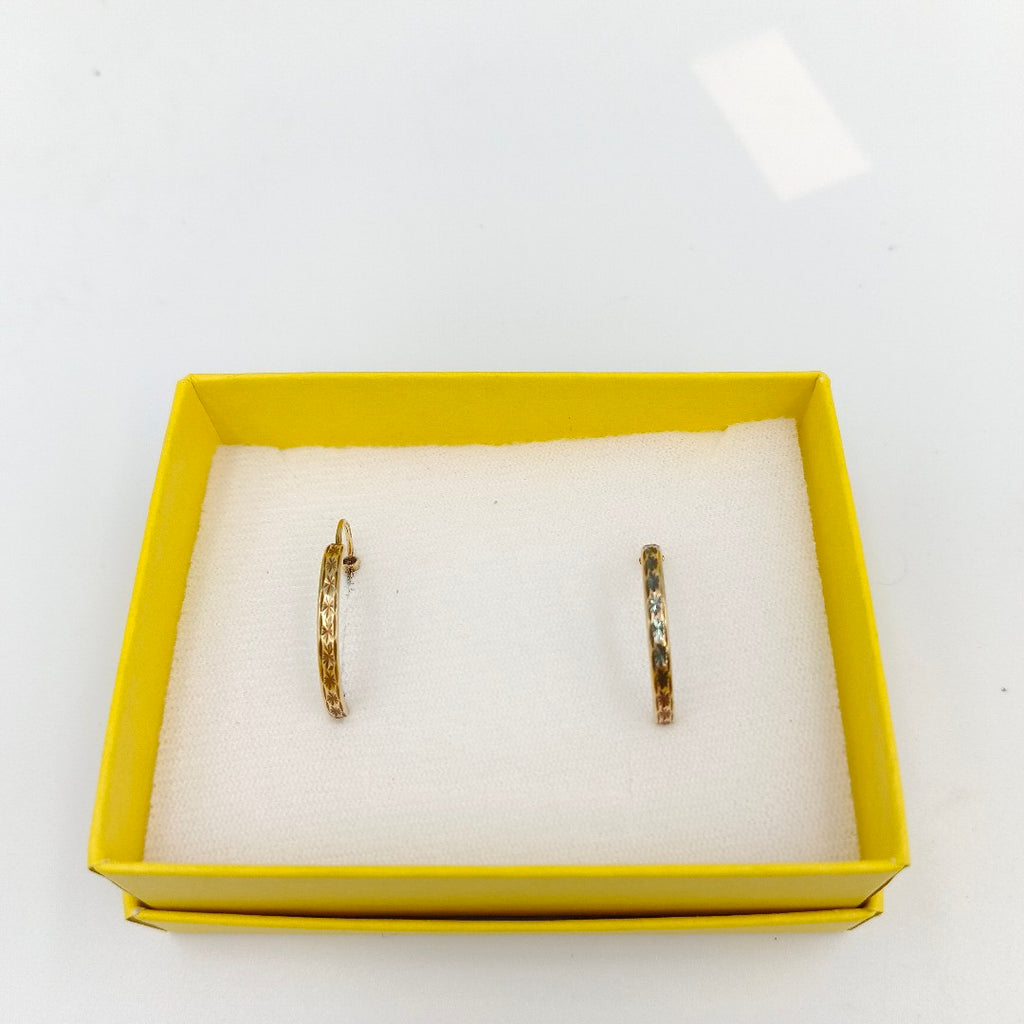 ARRACADAS PAR ORO 10 K 1,70 GRMS (SEMINUEVO)