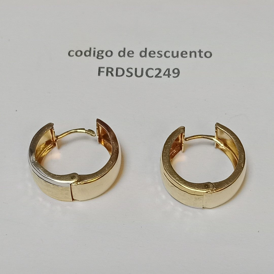 ARRACADAS PAR ORO 10 K 2.9 GRMS (SEMINUEVO)