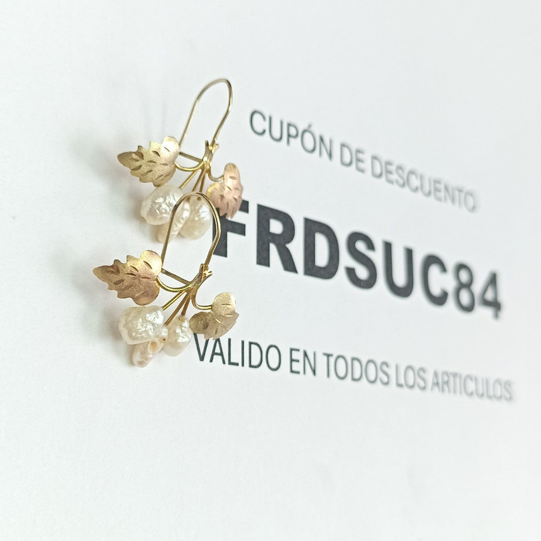 ARETES PAR ORO 10 K 1,50 GRMS (SEMINUEVO)