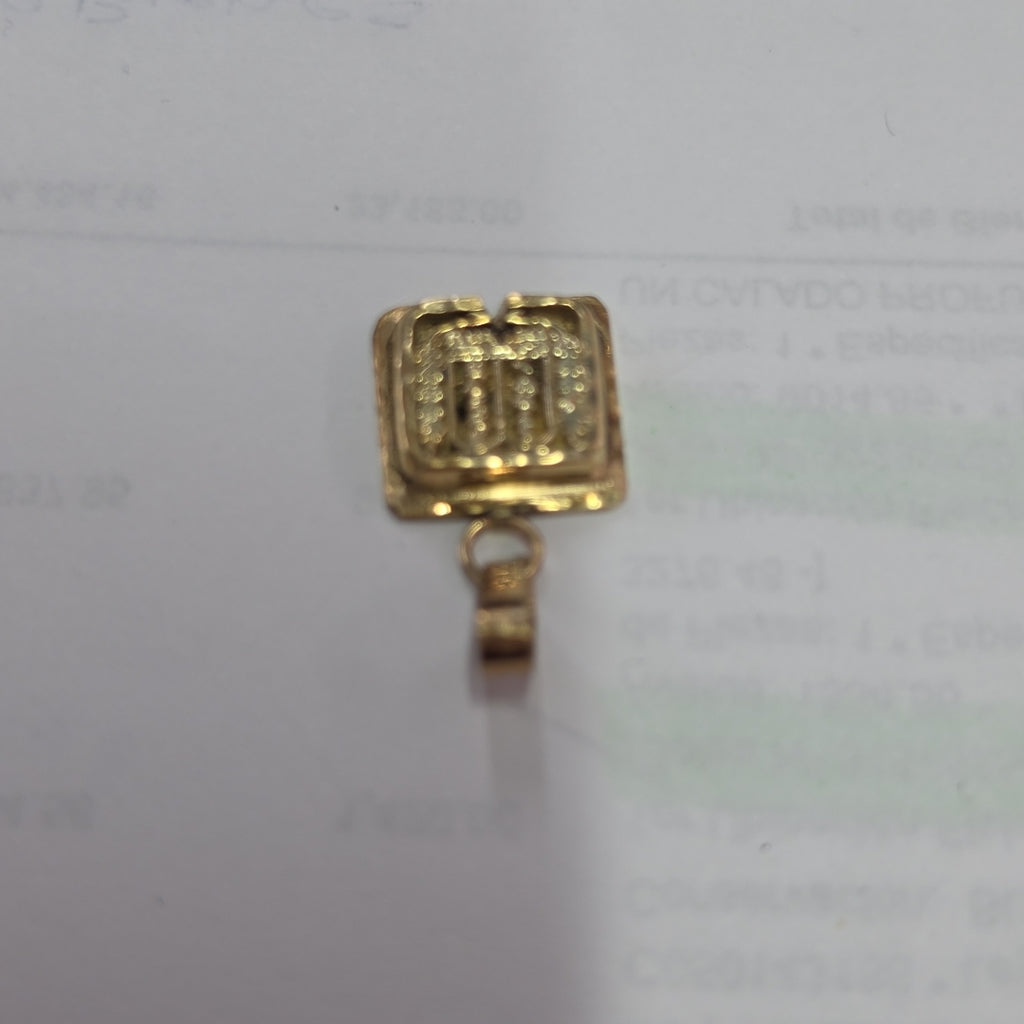 DIJE ORO 14 K 6.7 GRMS (SEMINUEVO)