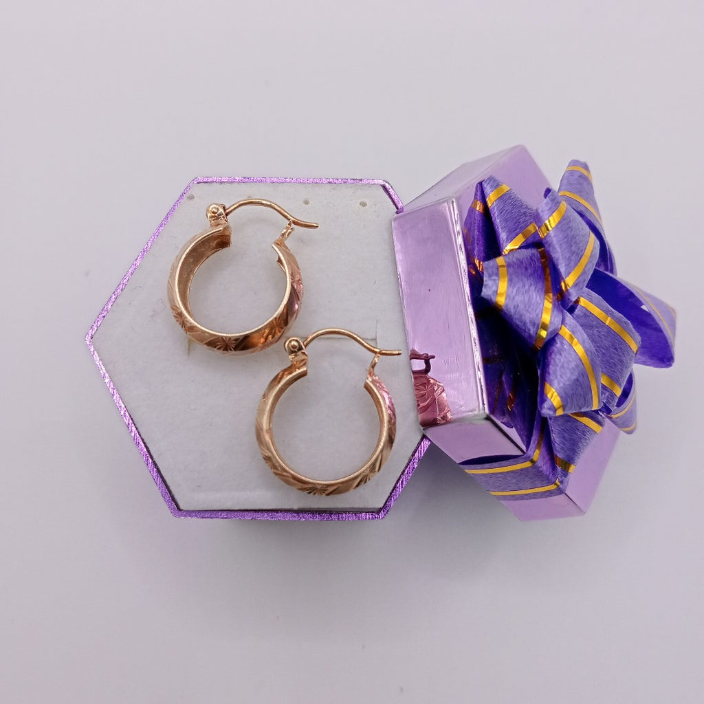 ARRACADAS PAR ORO 10 K 1,90 GRMS (SEMINUEVO)