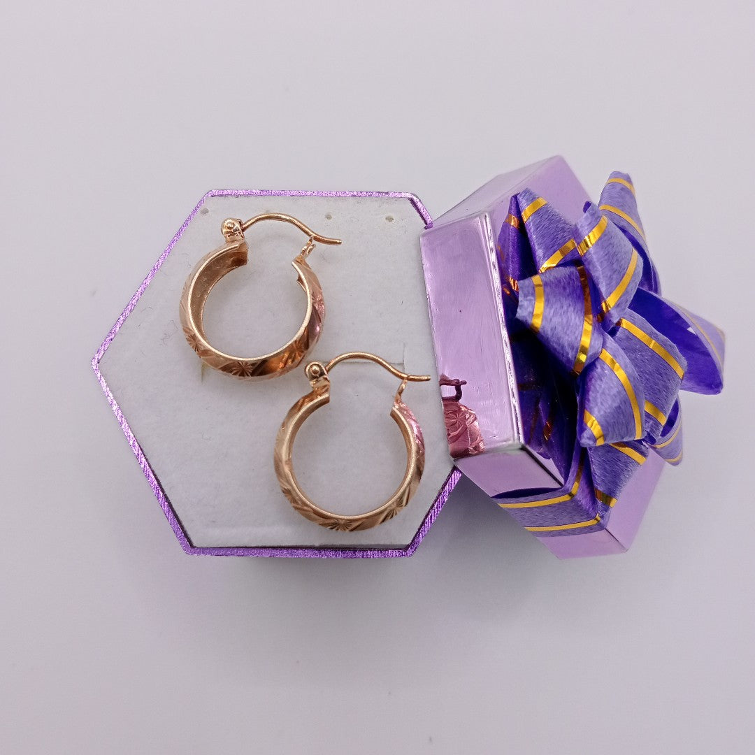 ARRACADAS PAR ORO 10 K 1,90 GRMS (SEMINUEVO)