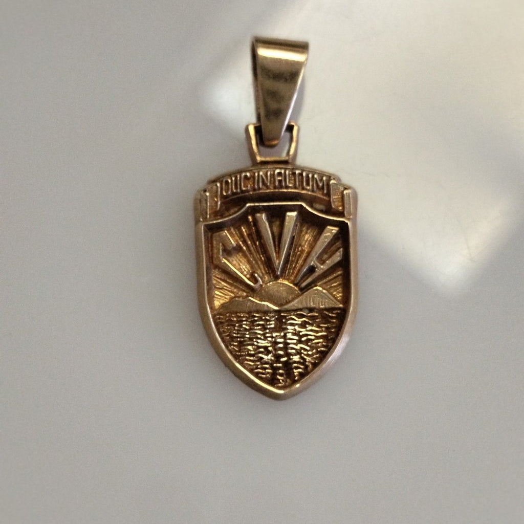 DIJE ORO 10 K 4.1 GRMS (SEMINUEVO)