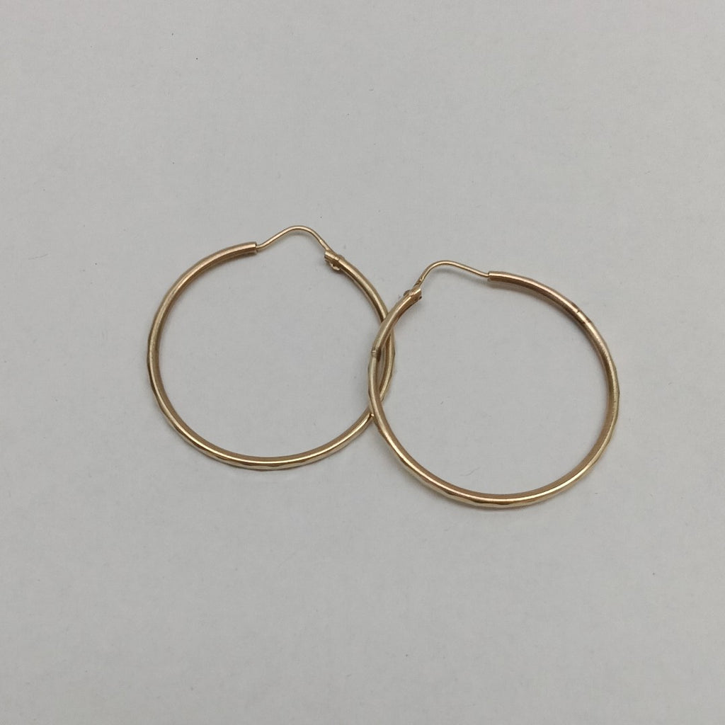 ARRACADAS PAR ORO 10 K 2,20 GRMS (SEMINUEVO)