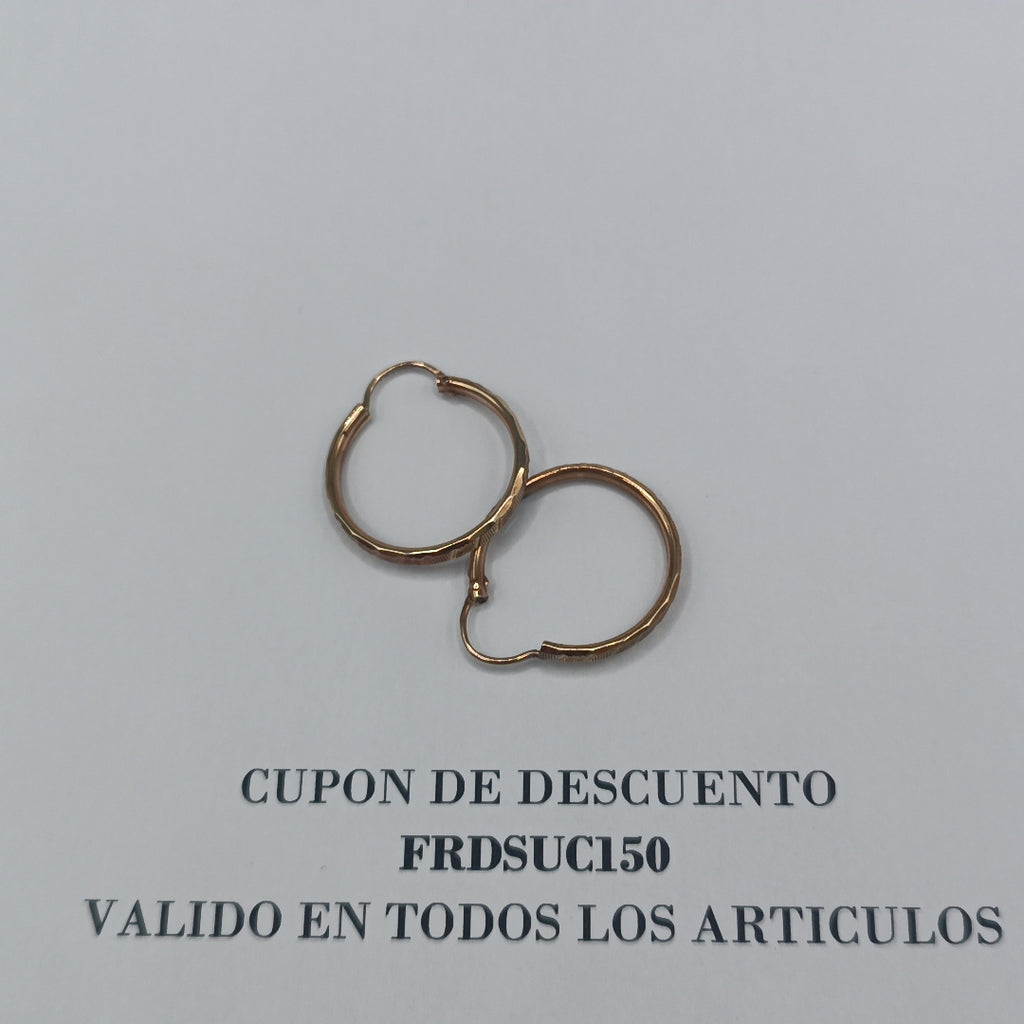 ARRACADAS PAR ORO 10 K 1.8 GRMS (SEMINUEVO)