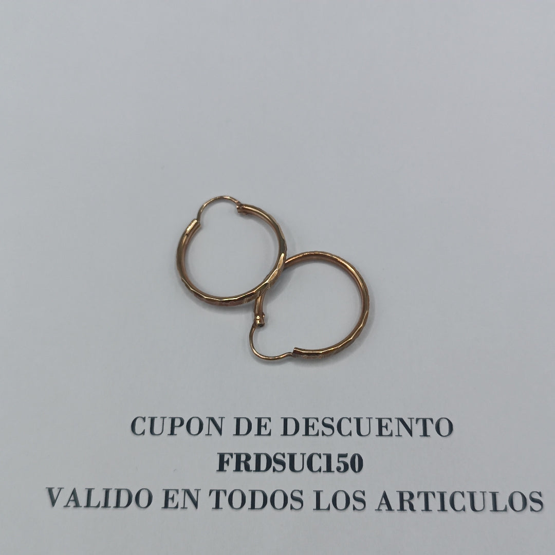 ARRACADAS PAR ORO 10 K 1.8 GRMS (SEMINUEVO)