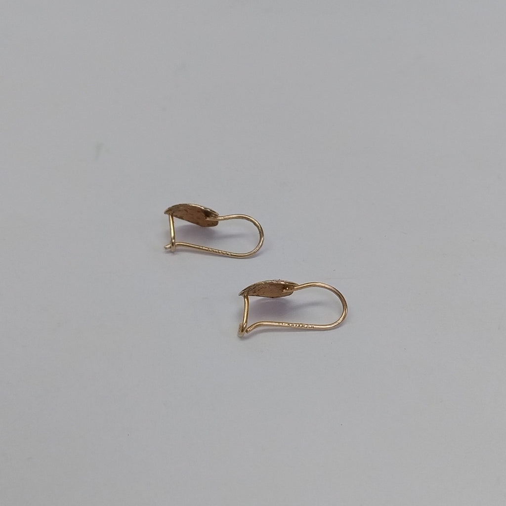 ARETES PAR ORO 10 K 0.6 GRMS (SEMINUEVO)
