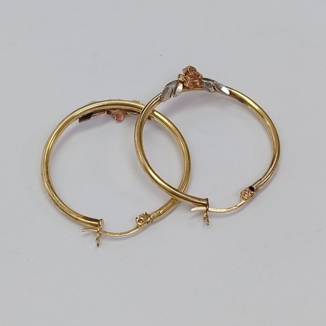 ARRACADAS PAR ORO 10 K 4,00 GRMS (SEMINUEVO)