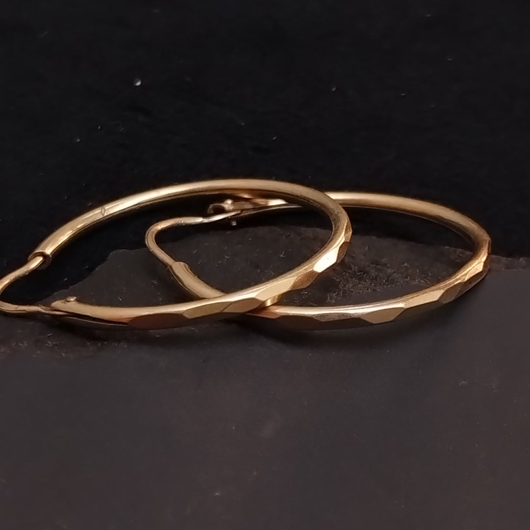 ARRACADAS PAR ORO 10 K 1.6 GRMS (SEMINUEVO)