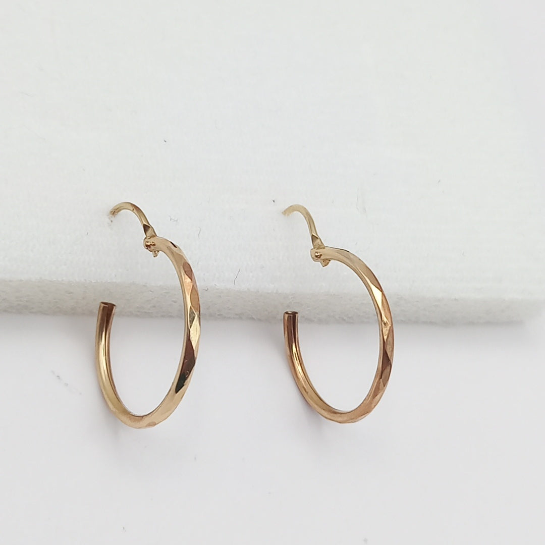 ARETES PAR ORO 10 K 0.9 GRMS (SEMINUEVO)