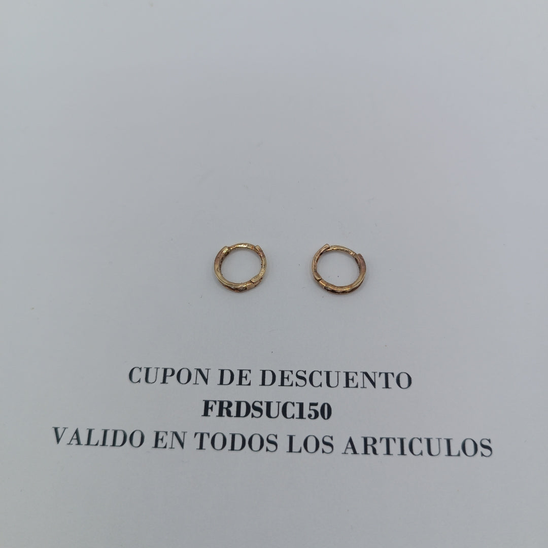 ARETES PAR ORO 10 K 1.1 GRMS (SEMINUEVO)