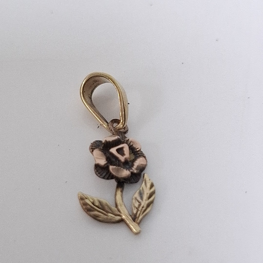 DIJE ORO 10 K 0,90 GRMS (SEMINUEVO)