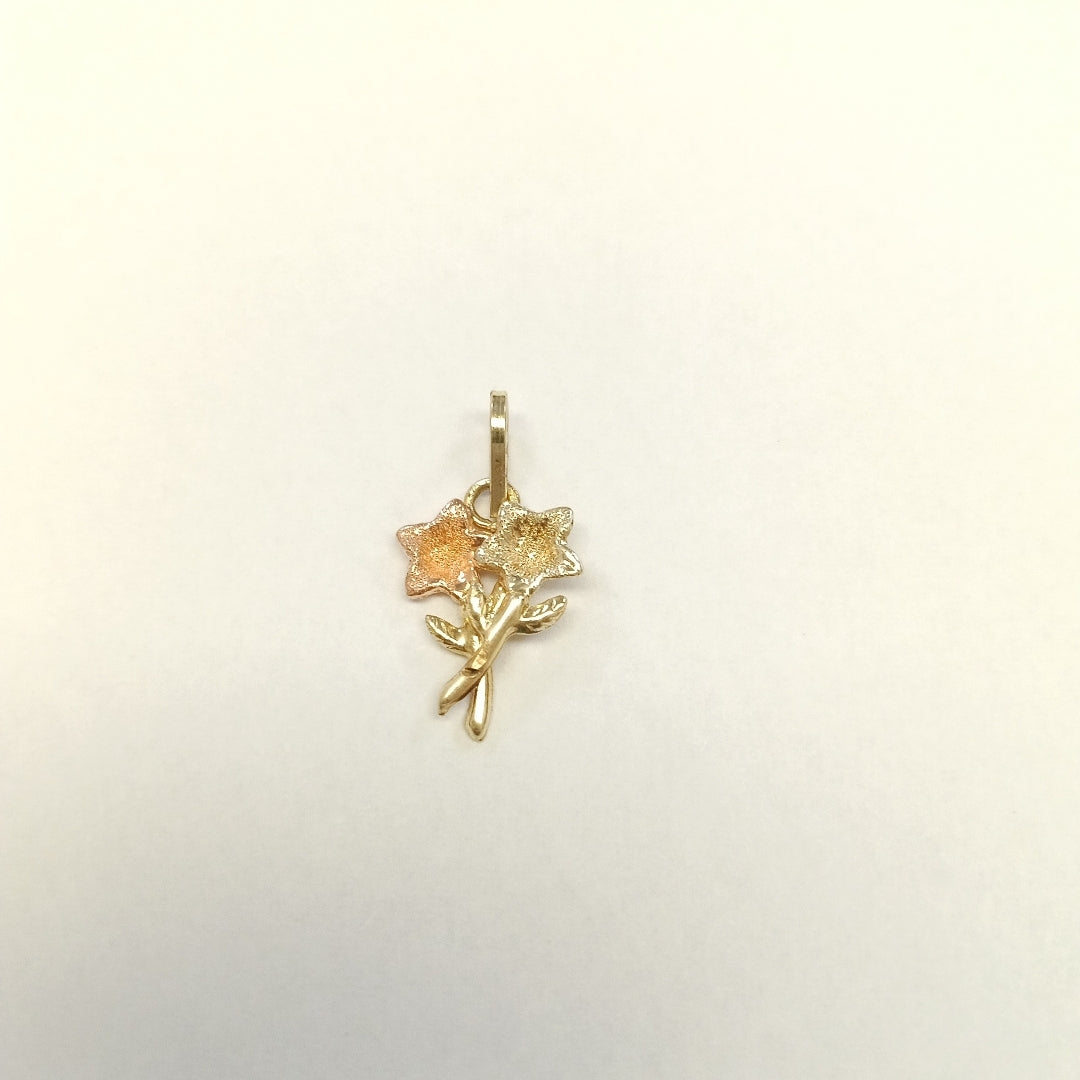 DIJE ORO, ORO COMBINADO 14 K 0.7 GRMS (SEMINUEVO)