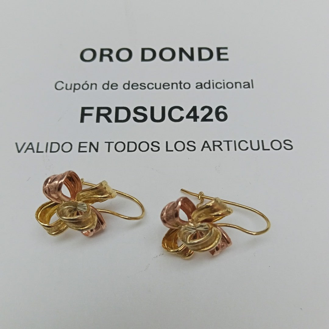 ARETES PAR ORO 10 K 2,90 GRMS (SEMINUEVO)