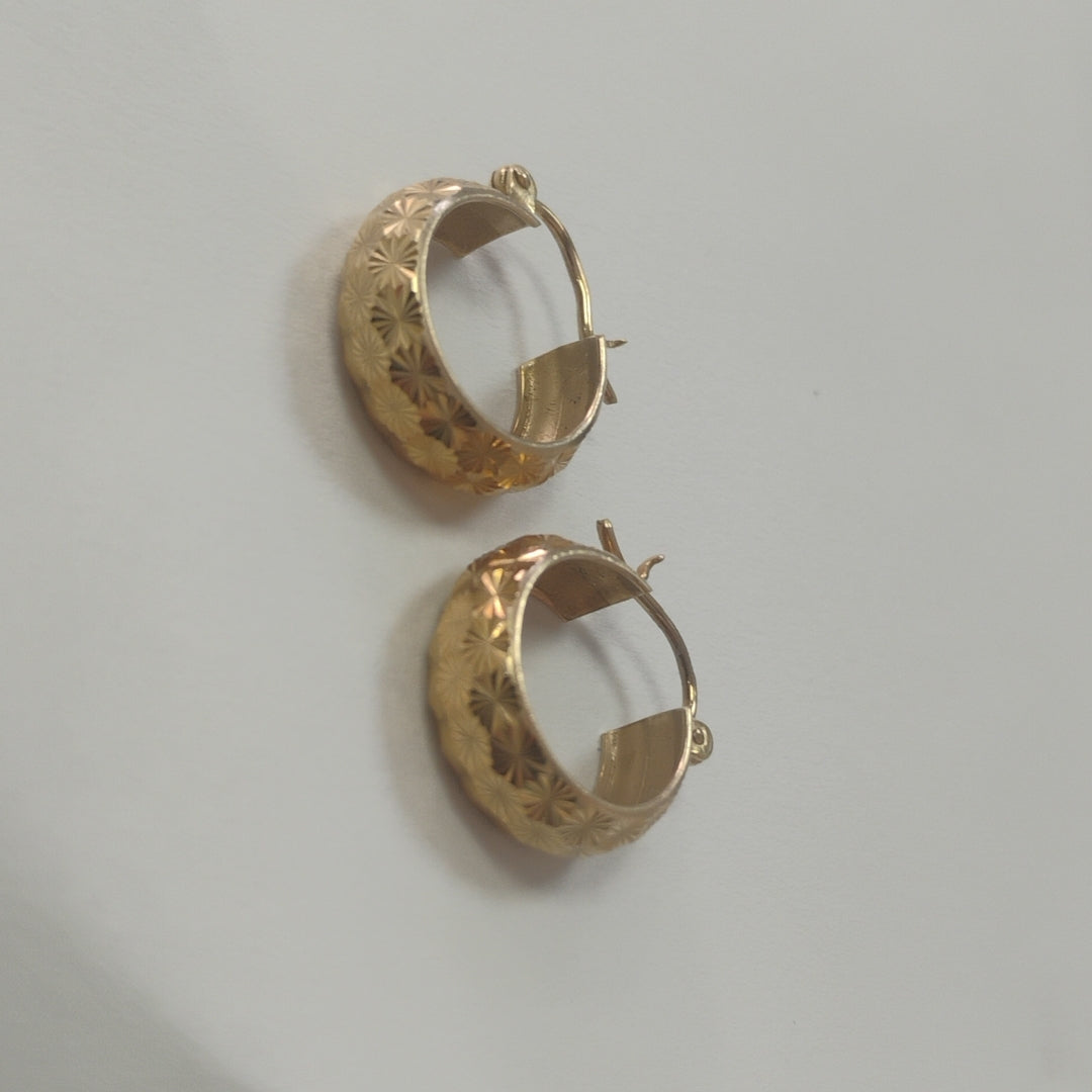 ARRACADAS PAR ORO 10 K 1.9 GRMS (SEMINUEVO)