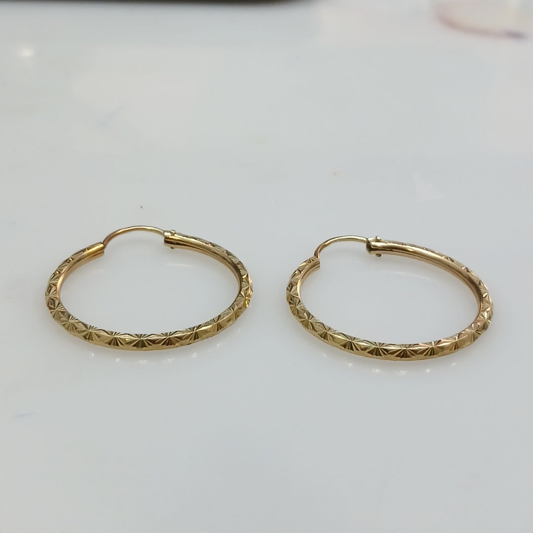 ARRACADAS PAR ORO 10 K 2.1 GRMS (SEMINUEVO)