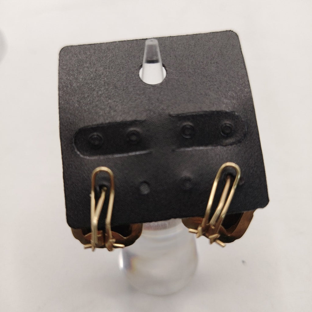 ARETES PAR ORO 10 K 5.4 GRMS (SEMINUEVO)
