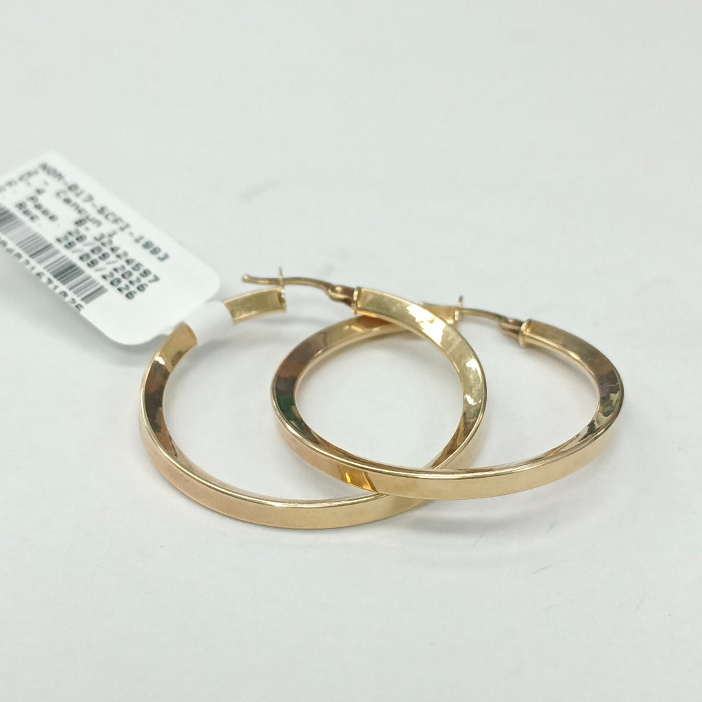 ARRACADAS PAR ORO 10 K 2,70 GRMS (SEMINUEVO)