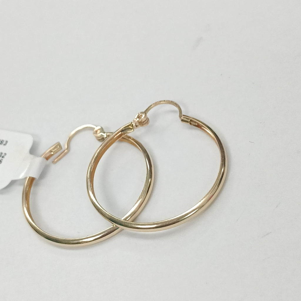 ARRACADAS PAR ORO 10 K 1.9 GRMS (SEMINUEVO)
