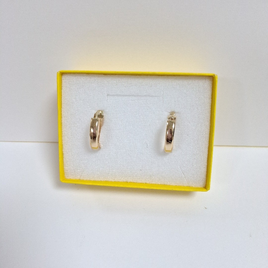ARRACADAS ORO 14K 2 (NUEVO)