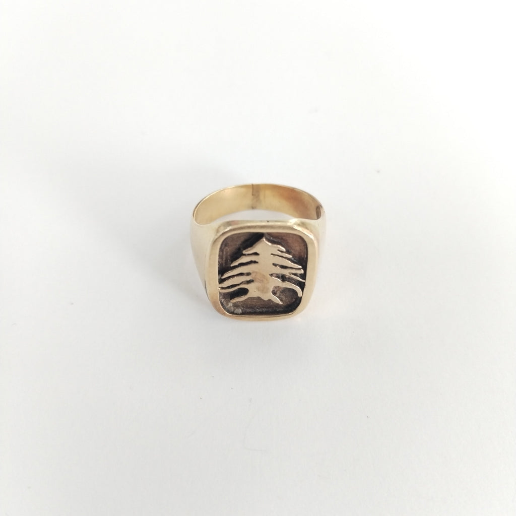 ANILLO ORO 14 K 12.2 GRMS (SEMINUEVO)