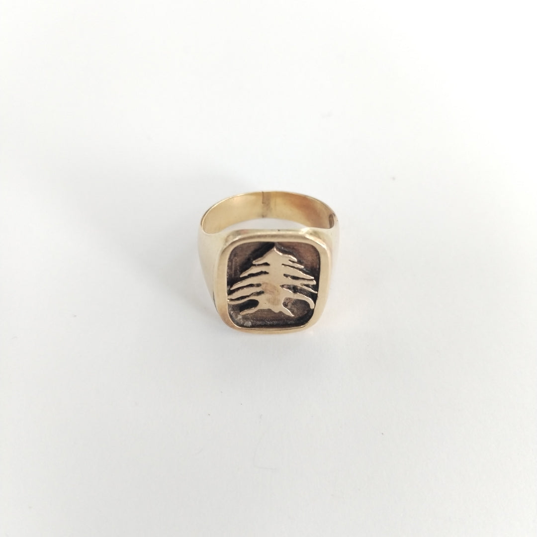 ANILLO ORO 14 K 12.2 GRMS (SEMINUEVO)