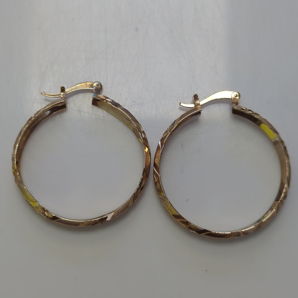 ARRACADAS PAR ORO 10 K 6 GRMS (SEMINUEVO)