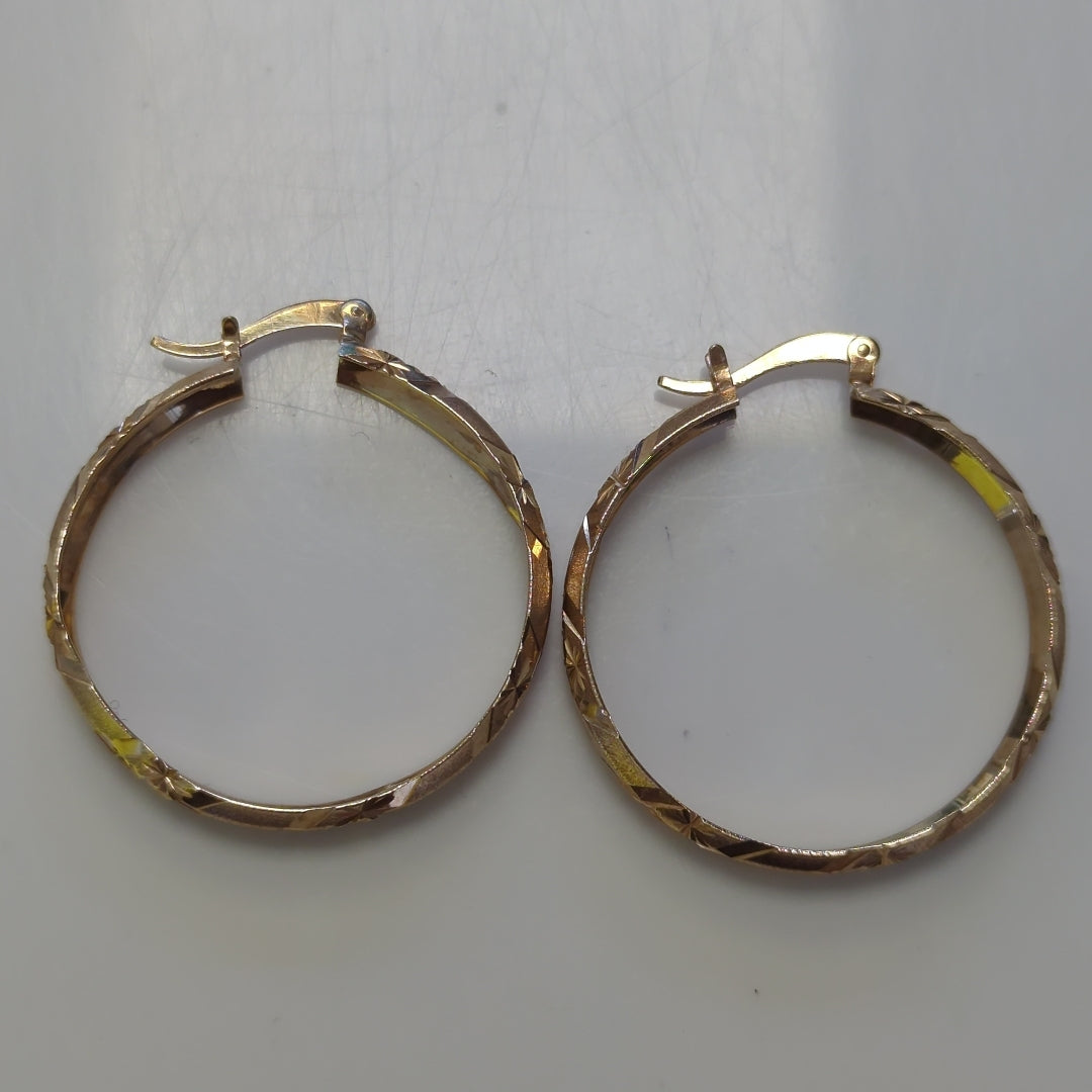 ARRACADAS PAR ORO 10 K 6 GRMS (SEMINUEVO)