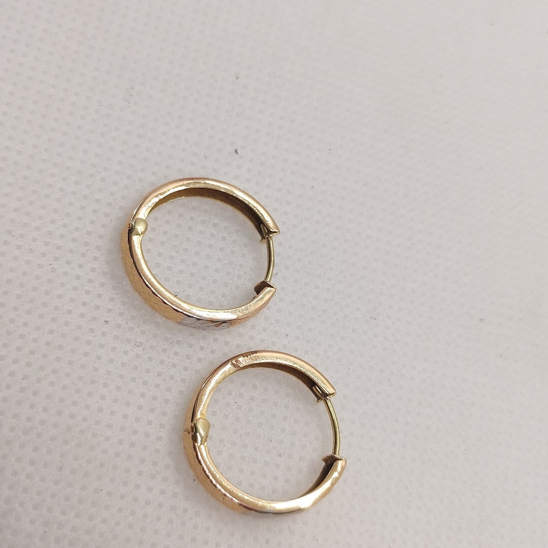 ARETES PAR ORO 10 K 1,60 GRMS (SEMINUEVO)