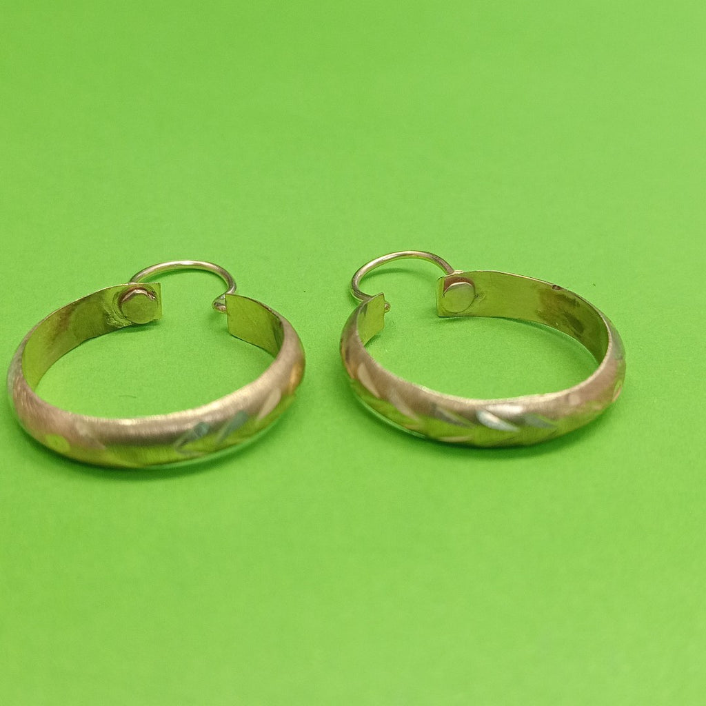 ARRACADAS PAR ORO 10 K 1,90 GRMS (SEMINUEVO)
