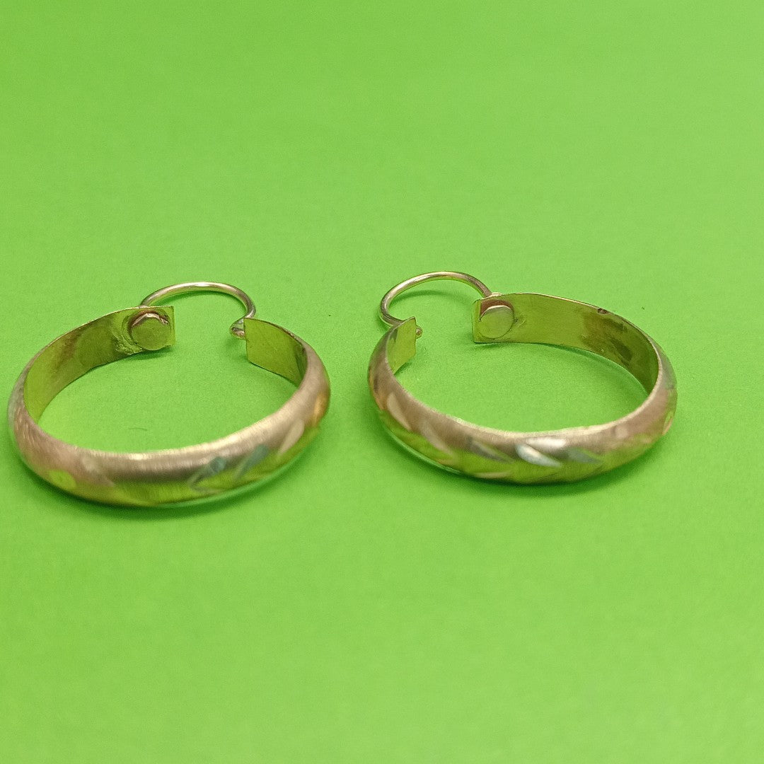 ARRACADAS PAR ORO 10 K 1,90 GRMS (SEMINUEVO)