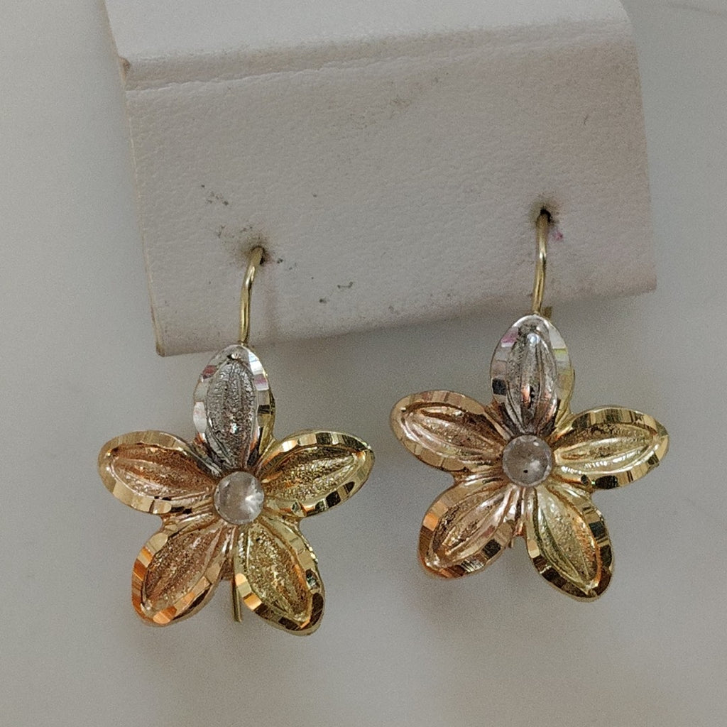 ARETES PAR ORO 14 K 1.5 GRMS (SEMINUEVO)
