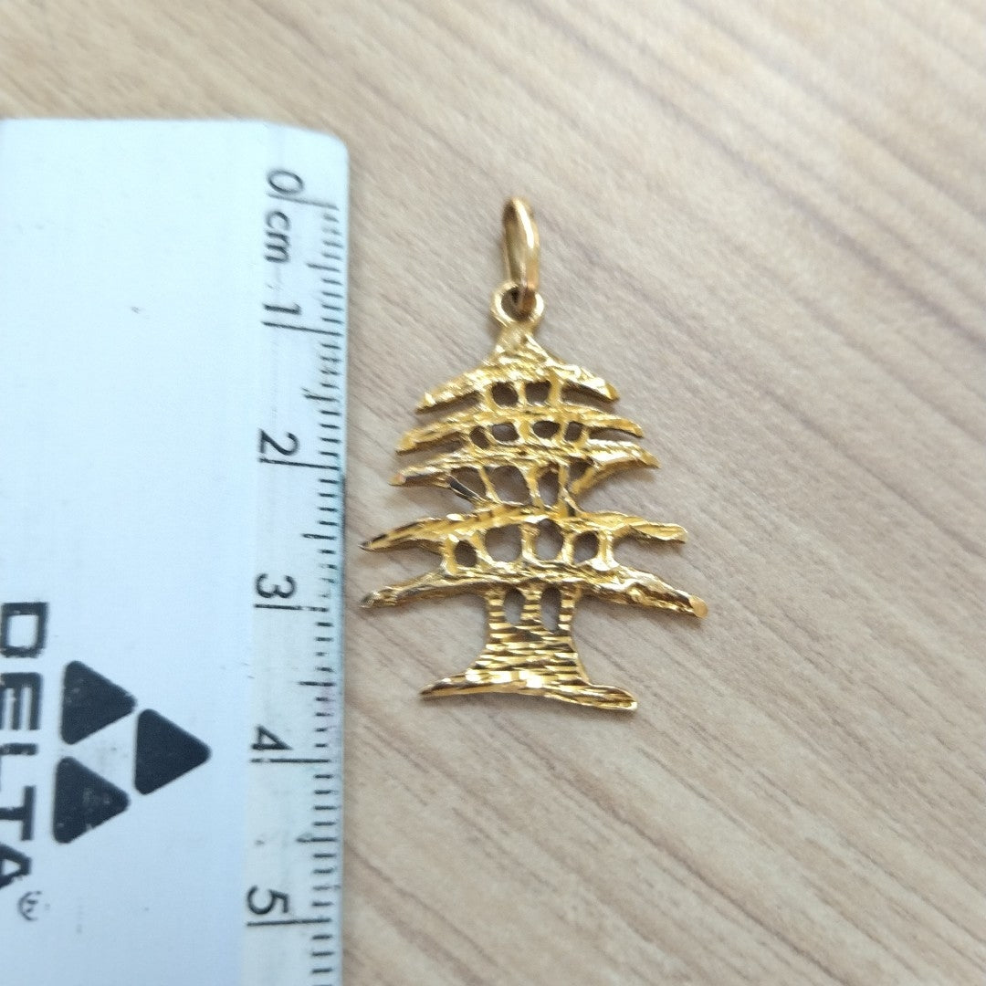 DIJE ORO 14 K 2.5 GRMS (SEMINUEVO)