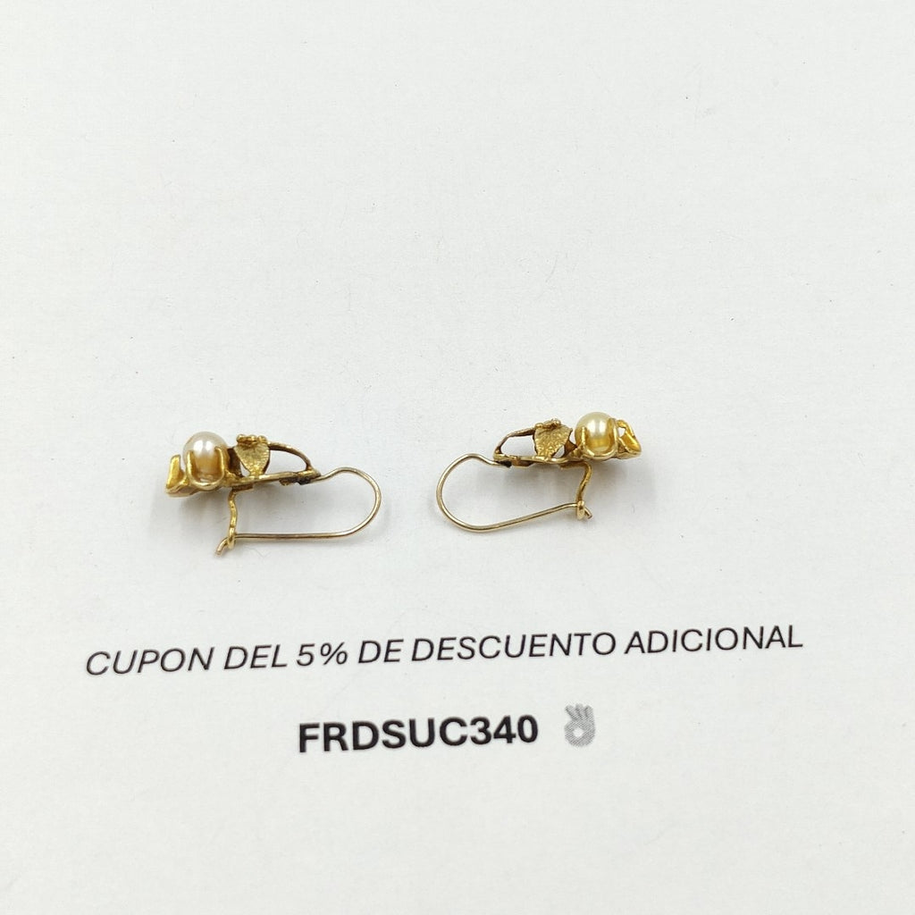 ARETES PAR ORO 18 K 2.7 GRMS (SEMINUEVO)