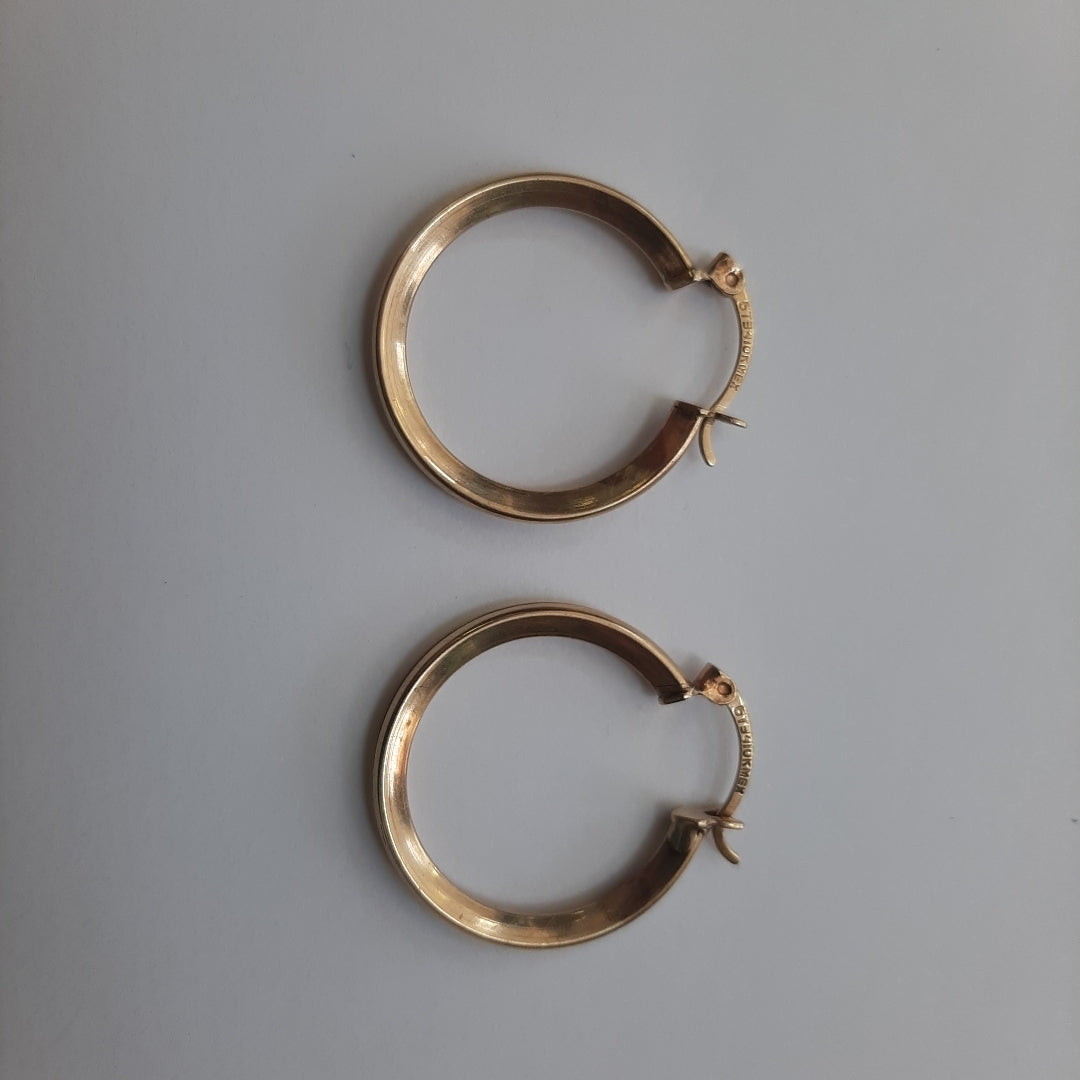 ARRACADAS PAR ORO 10 K 3,30 GRMS (SEMINUEVO)