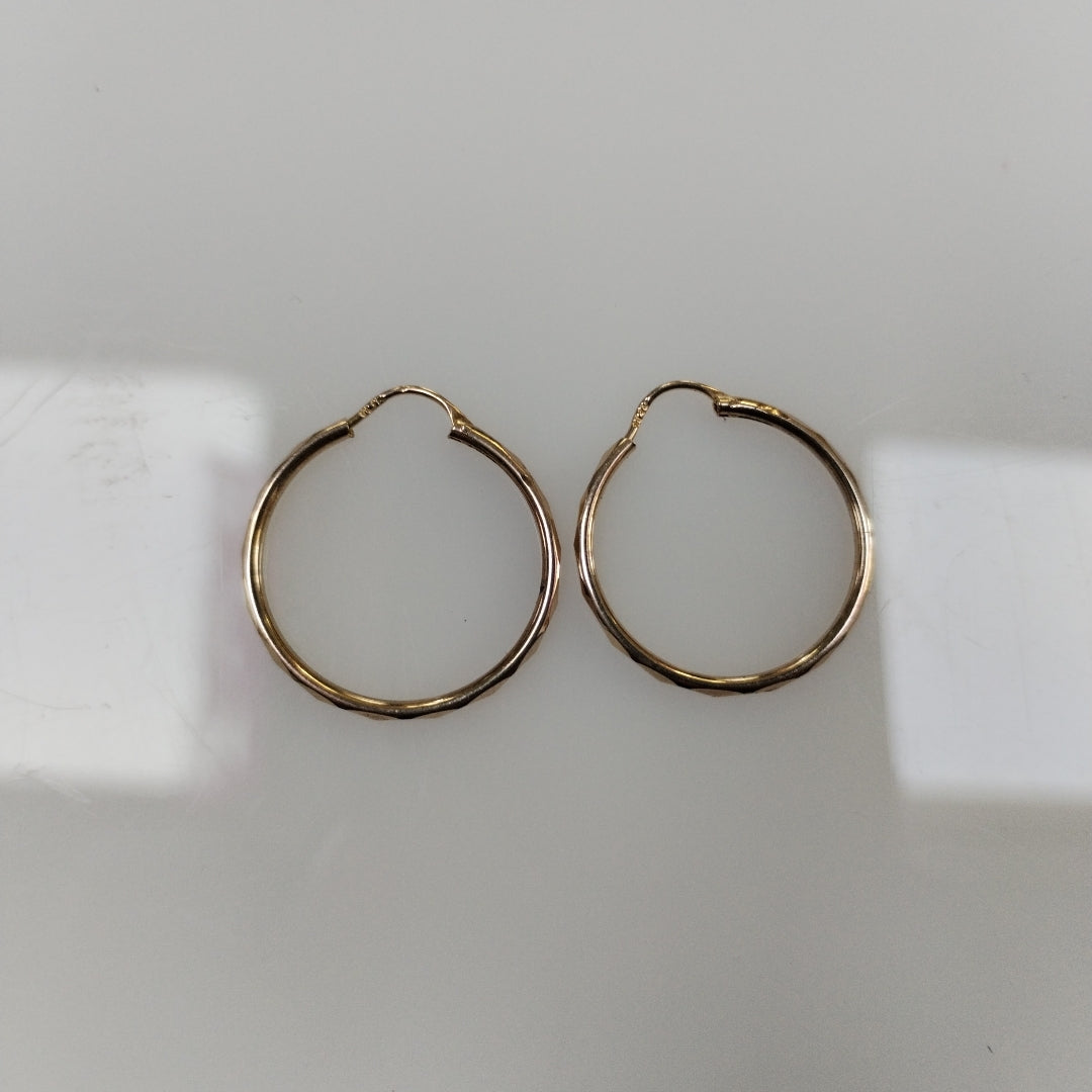 ARRACADAS PAR ORO 10 K 1.4 GRMS (SEMINUEVO)