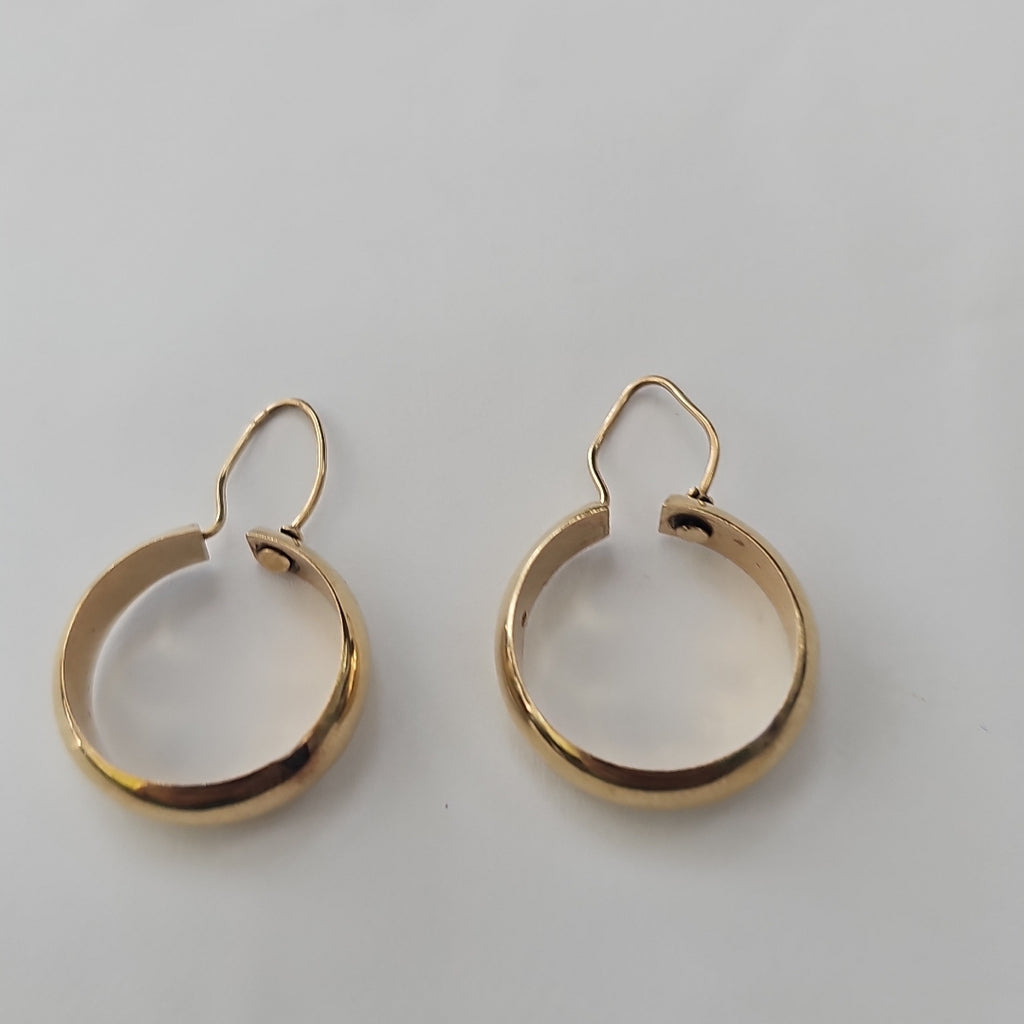 ARRACADAS PAR ORO 10 K 2,90 GRMS (SEMINUEVO)